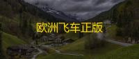 欧洲飞车正版